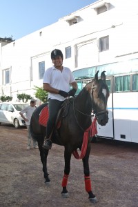 セレブの朝は、乗馬から！　馬のお耳に特徴がありました。平行にピンとたってかわゆい。