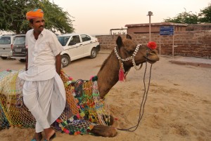 駱駝タクシー